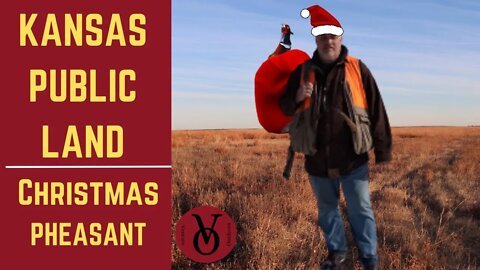 Public Land Christmas Pheasant (West Kansas Fires)