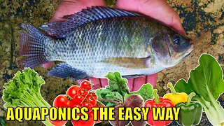 Learn Aquaponics The Easy Way