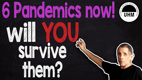 6 Pandemics - will you survive?