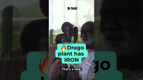 DR SEBI - DRAGO PLANT HAS IRON #shorts #drago #iron #irondeficiency