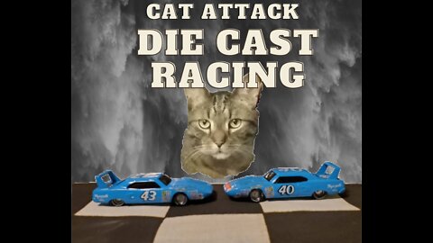Cat Attack Die Cast Racing ( Drag Race Between 2 Plymouth Superbirds toy cars) Cat Attacks The Car !