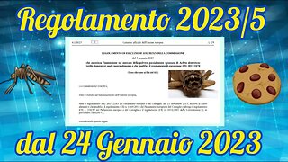 La UE ha autorizzato l'utilizzo dei grilli nella nostra alimentazione!