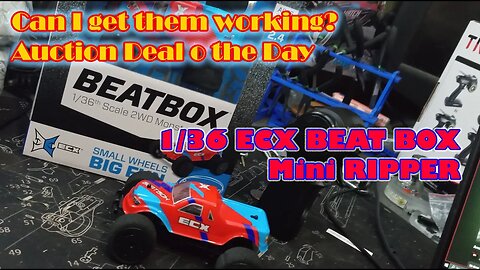 ECX BeatBOX - 2WD 1:36 scale - Deal of teh Day - little RIPPERS - Horizon Hobby