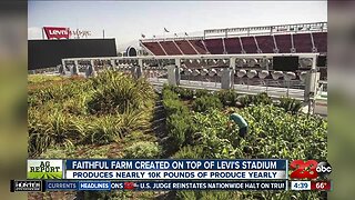 Ag Report: Disaster relief for farmers, California's dairy industry leads the way, and stadium farm