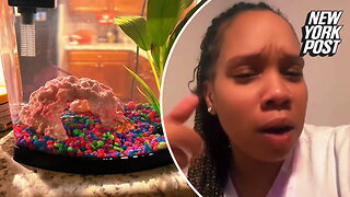 Mom blasts landlord for trying to charge $250 'pet fee' for a goldfish