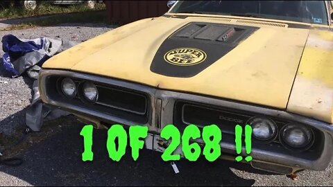 1971 Super Bee find