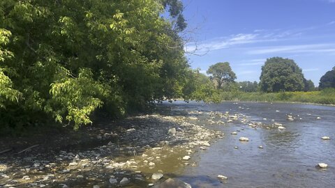 Beautiful Humber River James Gardens Lambton's Golf course