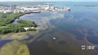 USF researchers develop new ways to track Piney Point leak