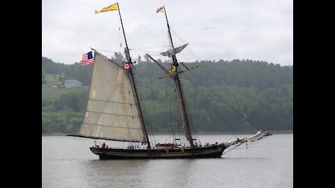 Tall ships enter Pictou Harbour