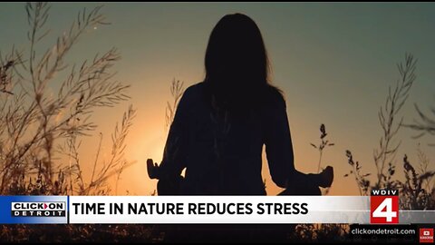 New study finds 36% of adults in America are feeling stressed