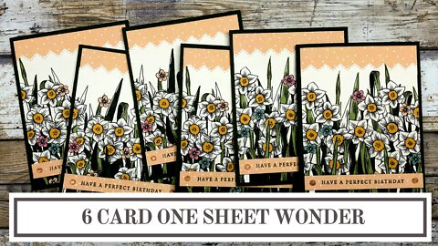 Daffodil Afternoon - 6 Card One Sheet Wonder Template