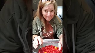 Preserving Roasted Cherry Tomatoes