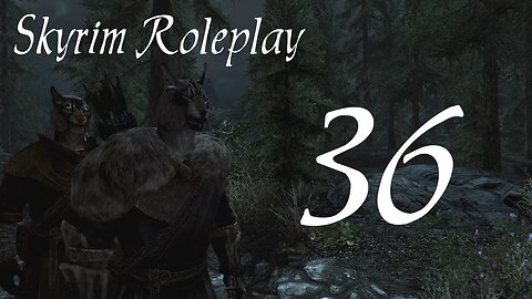 Skyrim part 36 - A Chance Meeting [Helgen Reborn - modded roleplay]