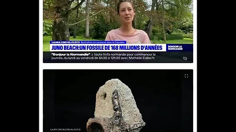 "C'était enfoncé dans le sable": une touriste découvre un fossile vieux de 168 millions d'années