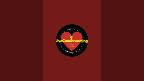 How about live music and vibes from Ybor City LiveCamStreaming is live! Live Music Ybor