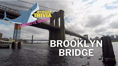 Brooklyn Bridge - The Marvel Connecting New York City Trivia Short #trivia #nyc