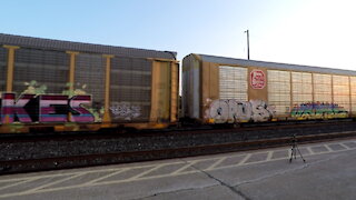 CN 2239 & CN 2819 Engine Manifest Train Eastbound In Ontario