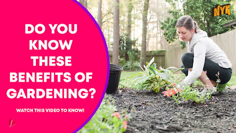 Top 3 Health Benefits Of Gardening