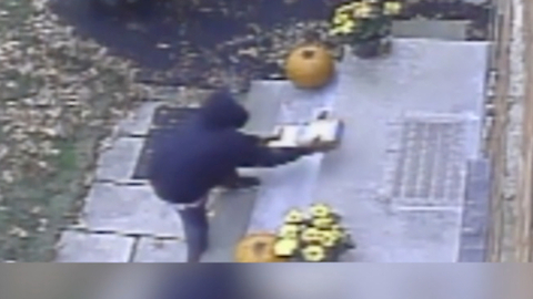 NE Ohio residents hit by thieves stealing packages off porches