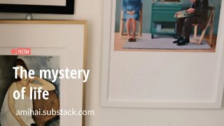 The mystery of life | amihai.substack.com | Art of Now
