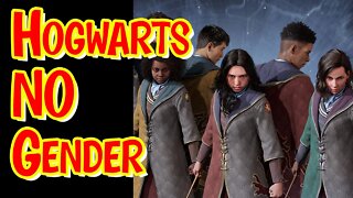 No Gender Option In Hogwarts Legacy - Getting Back At JK Rowling?