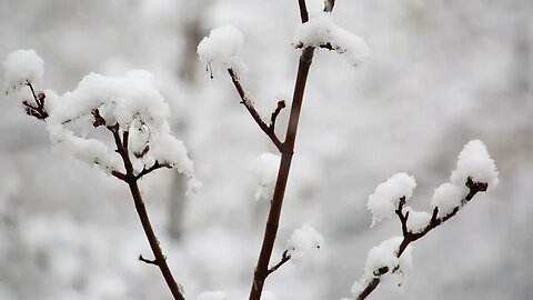 The Old Farmer's Almanac and Winter 2023 Forecast | Jack Burnett | Guest