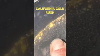 🤩 CALIFORNIA GOLD RUSH 🤩 Has started and this is crazy. #shorts #goldrush #goldmining #california