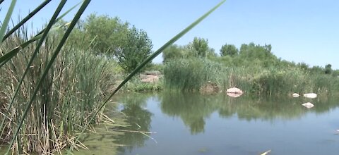 Wetlands Park in Clark County plans to expand with nature play center