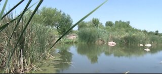 Wetlands Park in Clark County plans to expand with nature play center