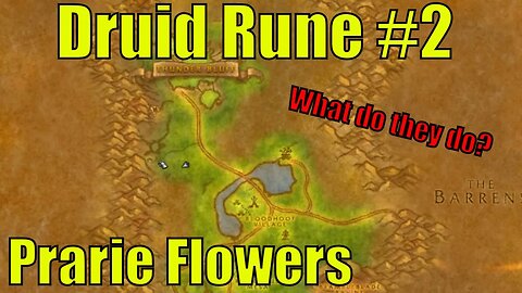 Druid Rune 2 Prarie Crown EXPLAINED | World of Warcraft Classic Season of Discovery