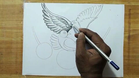 how to draw a pigeon and rose flowers with pencil sketch