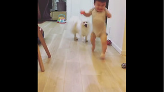 Dog And Baby Take Turns Playing Fetch
