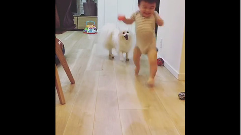 Dog And Baby Take Turns Playing Fetch