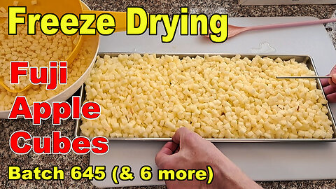 Freeze Drying Batches of Fuji Apple Cubes (7 Batches)