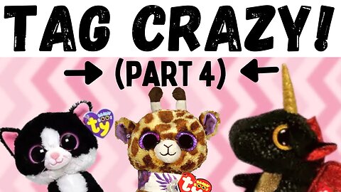 Beanie Boos do what their TAG says!?😲❤️| PART 4 | Hilarious Mini Skits 😂