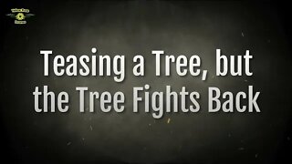 Teasing a Tree but the Tree Fights Back - DJI Avata Drone Crash