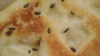 Indianapolis Little Caesars forced to clean after customer found mice droppings in pizza