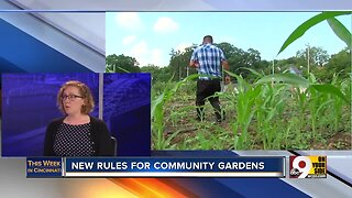 This Week in Cincinnati: New rules for community gardens