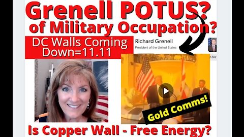 RICHARD GRENELL POTUS OF MILITARY OCCUPATION 11.11 ARRESTS-DC WALL COMING DOWN! HAPPY SPRING 3-20-21