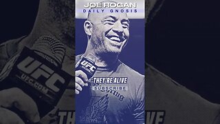 Joe Rogan On Life and Discipline #podcast #jre #shorts