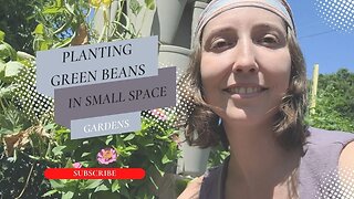 Planting Green Beans in Small Space Gardens