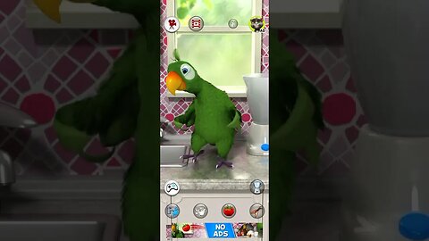 Talking Parrot #officialgamestudio