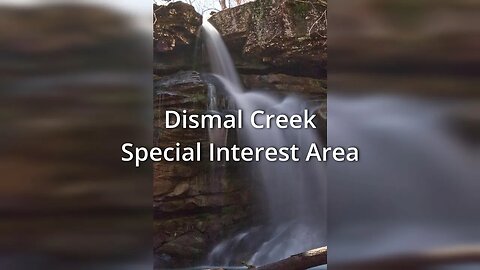 Exploring the Dismal Creek Special Interest Area - Ozark National Forest, Arkansas.