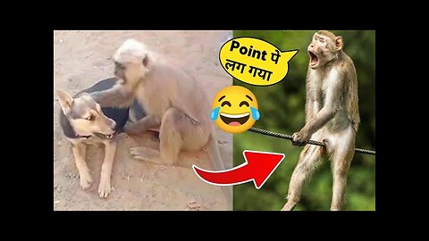 Cutest Cats and Dogs 🐱🐶 Funny Animal Videos 2023 part 2