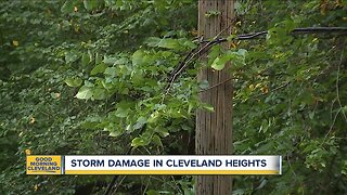 Storm damage in Cleveland Heights