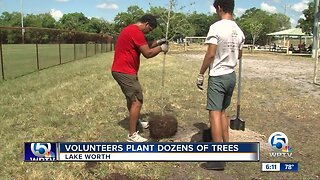 Dozens of trees planted in Lake Worth Beach