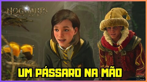 UM PÁSSARO NA MÃO | HOGWARTS LEGACY