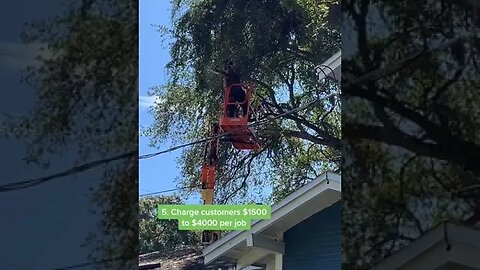 Side hustle 75 start an outsourced tree trimming service