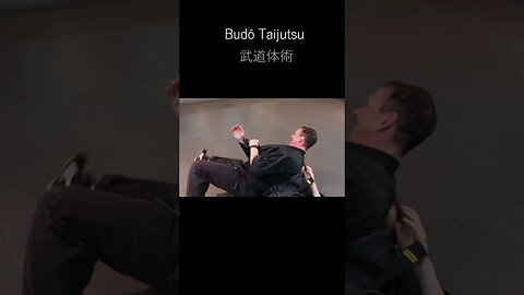 Budo Taijutsu