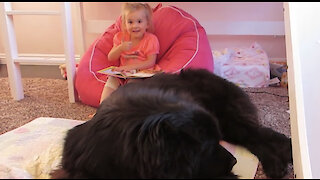 Toddler "reads" Cinderella to her giant dog and it’s hilariously adorable